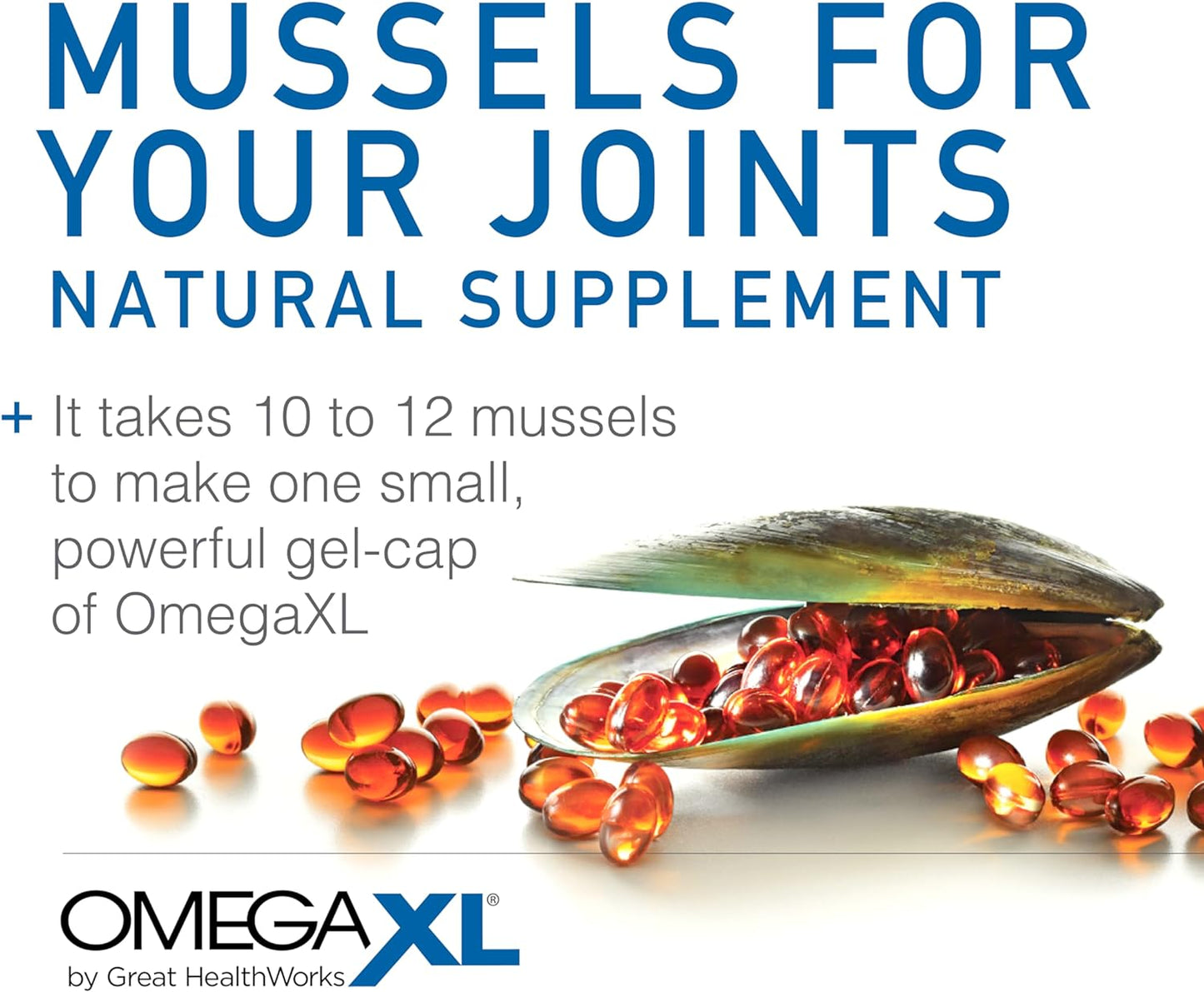 OmegaXL Joint and Muscle Support Supplement - Green Lipped Mussel Oil - Soft Gel Pills - Drug-Free, 60 Count